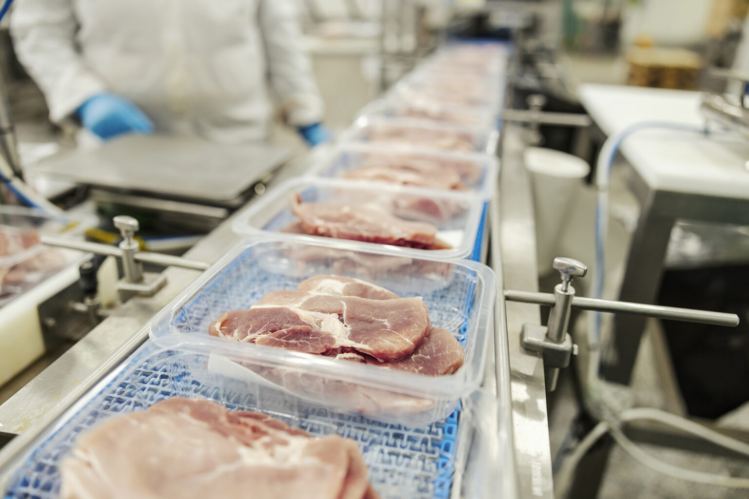 Your Guide to Choosing the Best Food Inspection Recovery Services