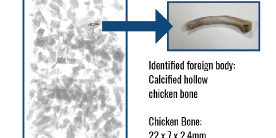 Xray Inspection Systems for Food Safety