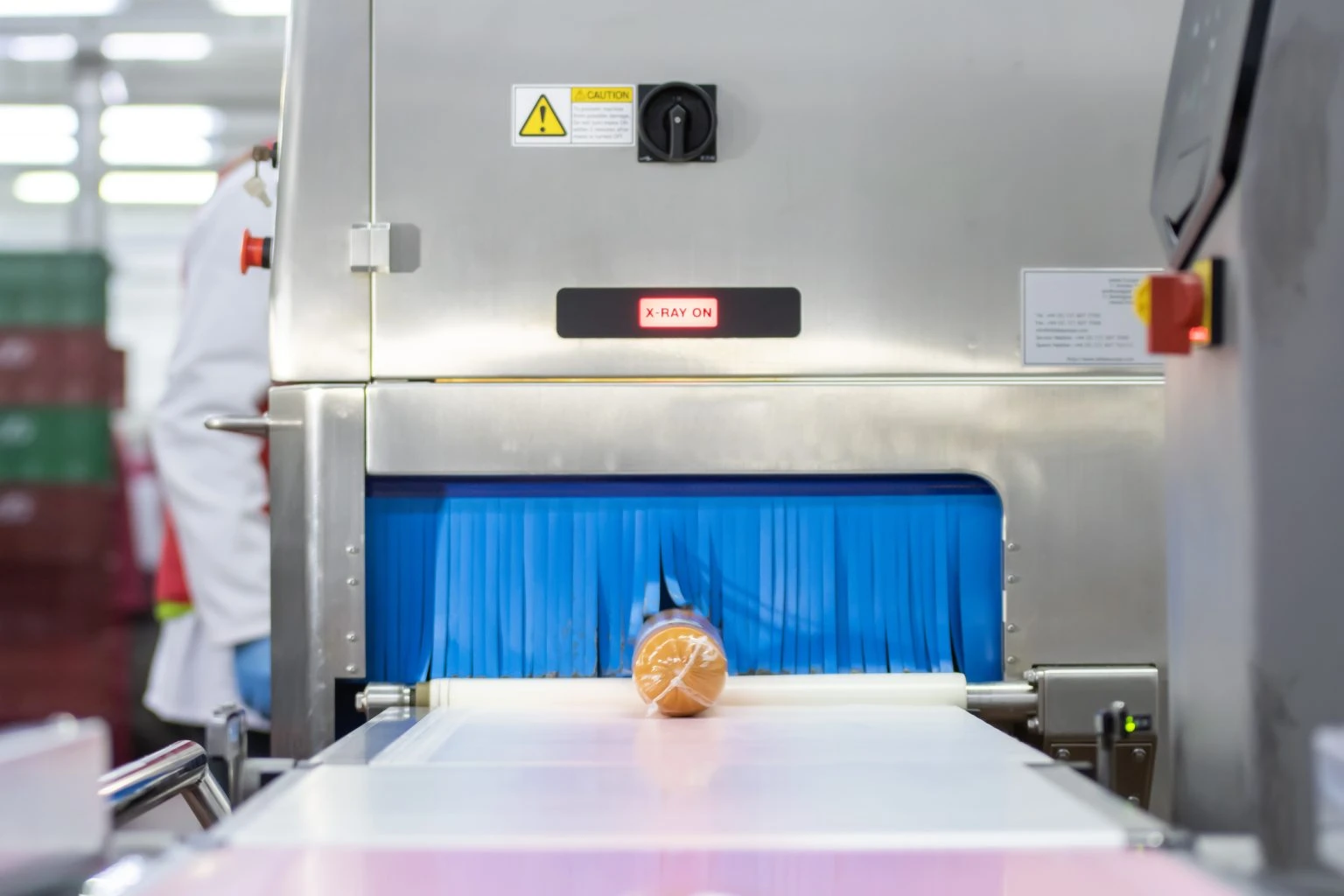 Xray Inspection Detects Foreign Bodies