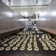 Everything About Food Xray Machine Rental and Contaminant Detection Solutions