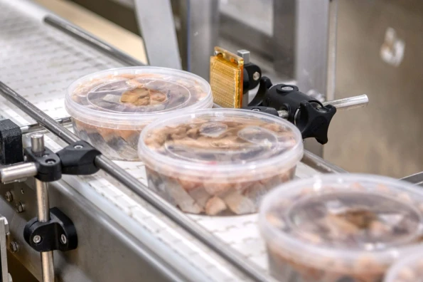 safety xray food inspection