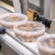 XRay Food Inspection Services: Safety & Recovery
