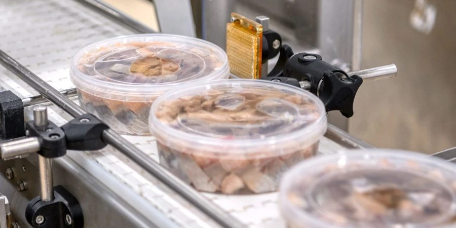 safety xray food inspection