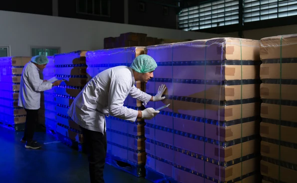 Foreign Body Detection in Food: A Practical Playbook