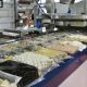 Metal Detector Machines in Food: Capabilities, Limits, and When to Use X-Rays